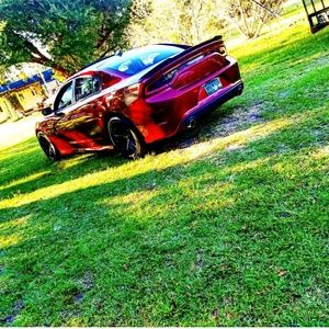 Meet your Posher, Dexter